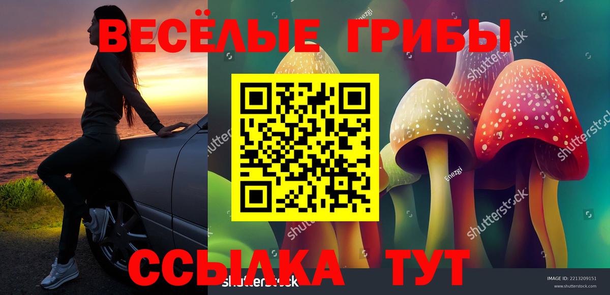Галлюциногенные грибы GOLDEN TEACHER Курганинск