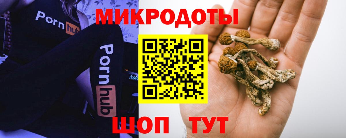 Курганинск  Псилоцибиновые грибы Magic Shrooms  Вход с VPN 
